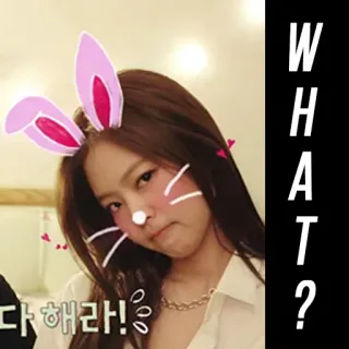 🙄 WHAT? kpop, милый, кролик, что, дженни telegram sticker