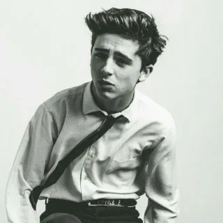 😐 Timothée Chalamet ator, celebridade, retrato, preto e branco telegram sticker