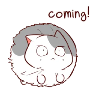🏃 coming! cat, cute, animal, fluffy, round telegram sticker