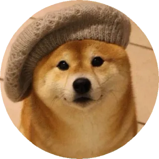😊 doge 도지, 개, 베레모, 귀여운, 밈 telegram sticker