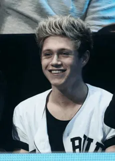 🥀 Niall Horan Niall Horan, One Direction, musician, singer, celebrity, portrait, person telegram sticker