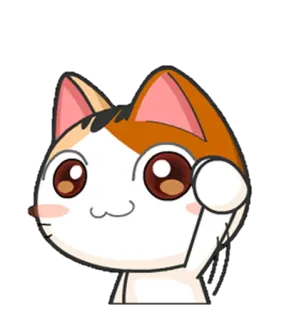 🙋‍♀ gato, lindo, dibujos animados, animal, kawaii, pegatina telegram sticker