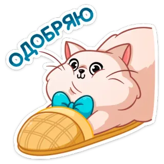 👍 Одобряю кот, тапочек, одобрить, милый, животное telegram sticker