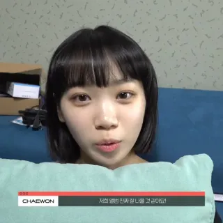 🐯 Chaewon 저희 맴명 진짜 잘 어울릴 것 같아요! telegram sticker