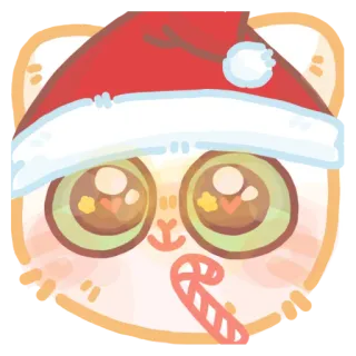 🎅 кот, Рождество, шапка Санты, леденец, милый, наклейка, праздник whatsapp sticker