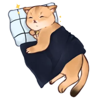 💤 แมว, นอนหลับ, สัตว์, น่ารัก, การ์ตูน telegram sticker