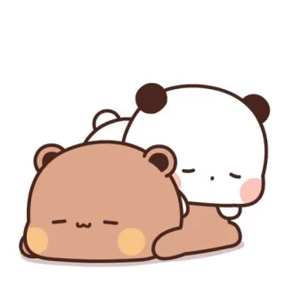 🩰 carino, orsi, cartoni animati, kawaii, animale, assonnato whatsapp sticker