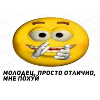 🙂 МОЛОДЕЦ, ПРОСТО ОТЛИЧНО, МНЕ ПОХУЙ emoticon, russian, meme, offensive telegram sticker