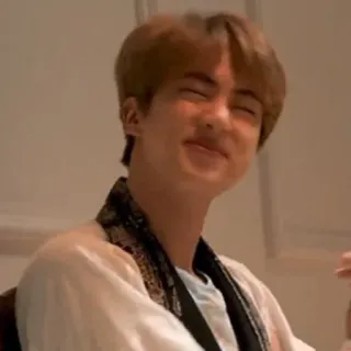 🐹 Jin người, nam, kpop, thần tượng, châu á, cười telegram sticker