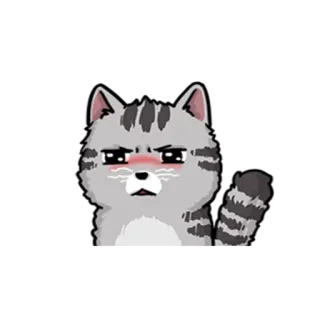 😳 kat, sticker, dier, huisdier, schattig, grijs, cartoon telegram sticker