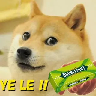 🍬 Doge YE LE !!! doge, meme, perro, chicle, doublemint, gracioso telegram sticker