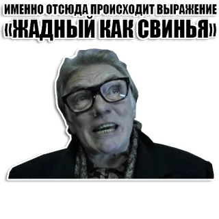 🐷 ИМЕННО ОТСЮДА ПРОИСХОДИТ ВЫРАЖЕНИЕ «ЖАДНЫЙ КАК СВИНЬЯ» persona, occhiali, testo, frase, russo whatsapp sticker