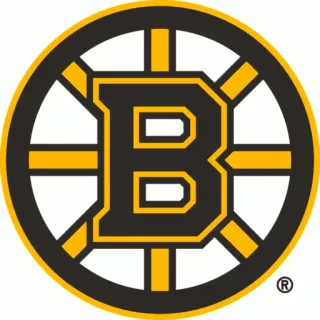 🐻 boston bruins, hockey, sports, nhl, bruins whatsapp sticker