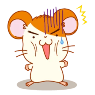 😡 chuột hamster, tức giận, hoạt hình, dễ thương, căng thẳng, mồ hôi telegram sticker