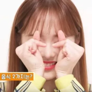 🐞 음식 2가지는? kpop, menina, coreano, coração com os dedos whatsapp sticker