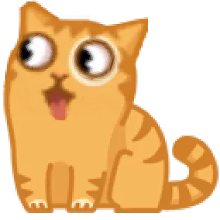 👀 gatto, animale, arancione, cartone animato, carino, divertente whatsapp sticker