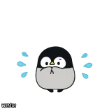 🐧 WORTOR Hoạt hình, Chim cánh cụt, Động, Nhân vật telegram sticker