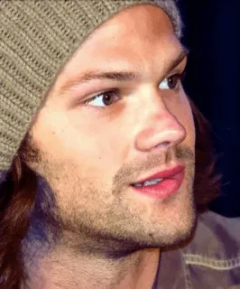 🤤 Jared Padalecki actor, man, celebrity, portrait telegram sticker