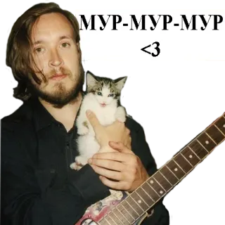 😞 МУР-МУР-МУР <3 man, cat, kitten, music, guitar, russian, text telegram sticker