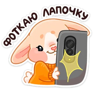📸 ФОТКАЮ ЛАПОЧКУ 토끼, 토끼, 셀카 찍기, 동물, 만화 telegram sticker
