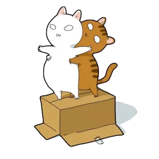 🤗 gato, desenho animado, caixa, fofo, animais, adesivo whatsapp sticker