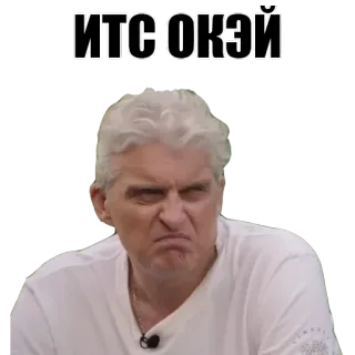 👍 ИТС ОКЭЙ Meme, Wajah, Rusia, Tidak apa-apa, Ekspresi, Rambut abu-abu telegram sticker
