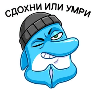 👊 СДОХНИ ИЛИ УМРИ дельфин, шапка, мультфильм, угрожающий, наклейка telegram sticker