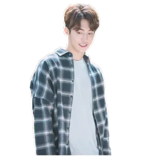 😄 portrait, souriant, homme, chemise à carreaux, décontracté, intérieur telegram sticker
