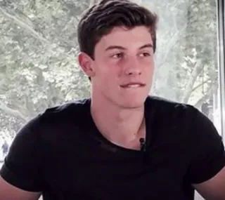 😏 Shawn Mendes singer, musician, celebrity, portrait, male, person telegram sticker