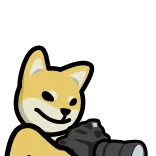 📸 cane, shiba inu, fotocamera, fotografia, animale, meme telegram sticker