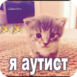 🐱 Я аутист 猫, 小猫, 俄罗斯, 动物, 宠物, 派对帽 telegram sticker