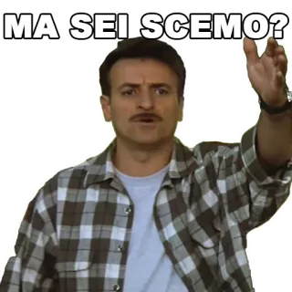 ❓ MA SEI SCEMO? italien, homme, question, idiot, flanelle, insulte whatsapp sticker