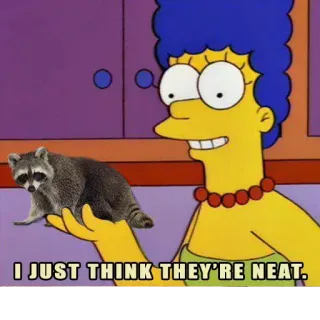 Habēmus más Raccoon telegram stickers
