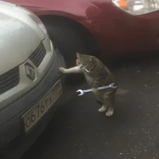 🔧 cat, mechanic, wrench, car, animal, humor telegram sticker