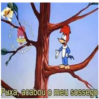 😒 Woody Woodpecker Puxa, acabou o meu sossego woody woodpecker, cartoon, funny, bird, classic, animated telegram sticker