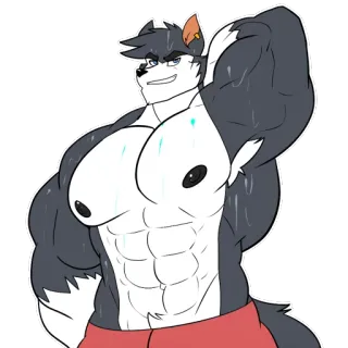 💦 muscoloso, furry, antropomorfo, lupo, addominali, fitness telegram sticker
