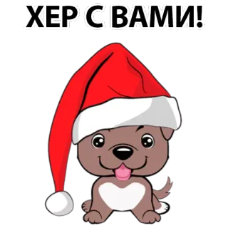 🤨 ХЕР С ВАМИ! dog, santa hat, christmas, holiday telegram sticker