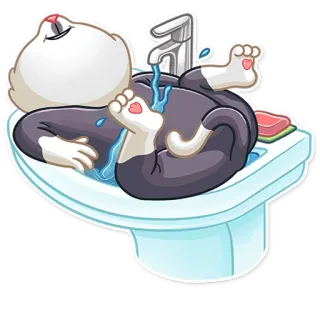 ☺️ chat, toilette, animal, eau, bain, détente, animal de compagnie whatsapp sticker