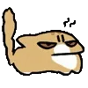 🐈
