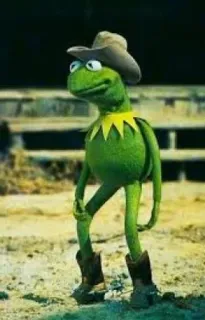 🌟 Kermit Kermit, Frosch, Cowboy, Hut, Stiefel, Western, Cartoon, Figur whatsapp sticker