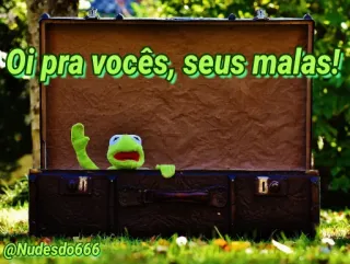 🙋‍♂ Kermit Oi pra vocês, seus malas! Kermit, frog, suitcase, funny, greeting, cartoon, meme telegram sticker