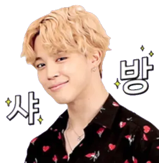 😊 방 kpop, idol, celebrità, sticker, ritratto, uomo telegram sticker