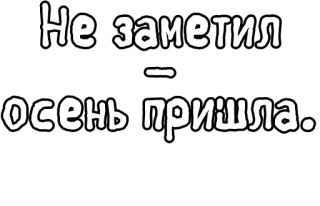 🔤 Не заметил 
осень пришла. autumn, fall, seasonal, text, russian language telegram sticker
