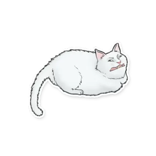 🐱 kat, dier, witte kat, meme, grappig, sticker telegram sticker
