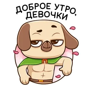 👋 ДОБРОЕ УТРО, ДЕВОЧКИ dog, good morning, cartoon, greeting, muscle, russian telegram sticker