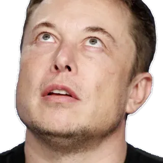 😳 Elon Musk Elon Musk, tech, businessman, meme telegram sticker