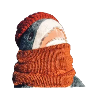 🧣 tubarão, pelúcia, chapéu, cachecol, inverno, fofo whatsapp sticker