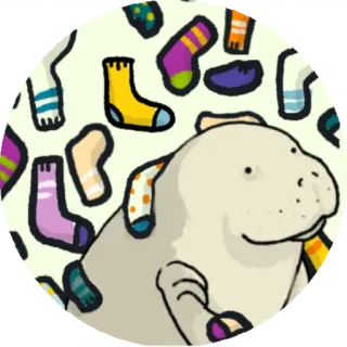 🧦 животное, носки, мультфильм, юмор whatsapp sticker