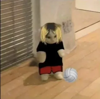 🏐 Kozume Kenma Haikyuu!! anime, cat, Kozume Kenma, volleyball, Haikyuu!!, manga telegram sticker