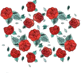 🌹 flowers, roses, floral, red, nature, plants telegram sticker